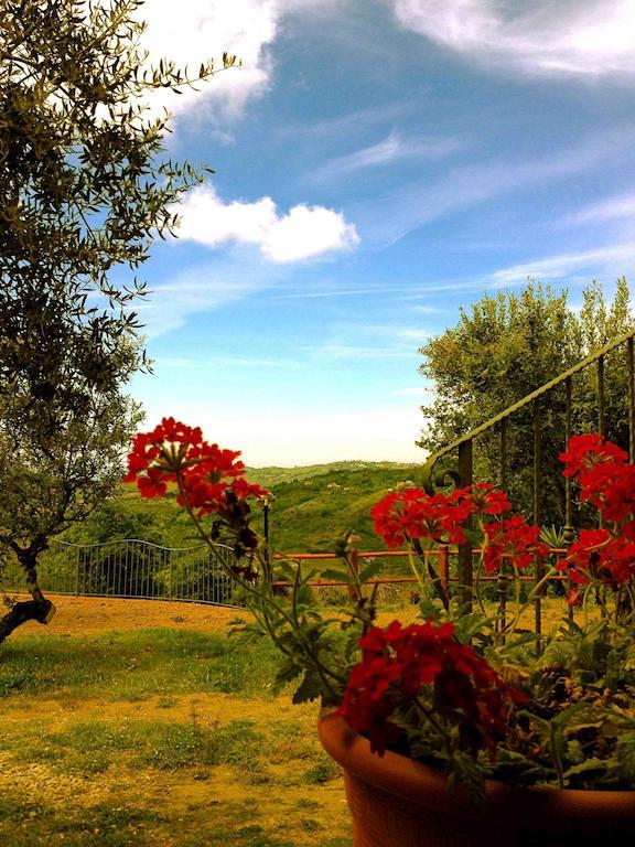 Country house Nigro *