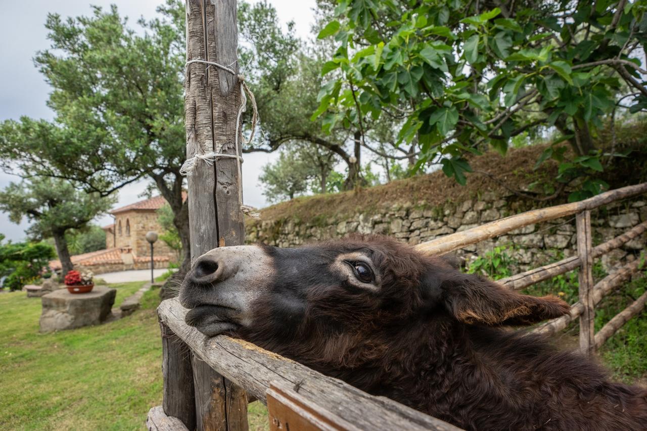 Nigro Country house Laureana Cilento