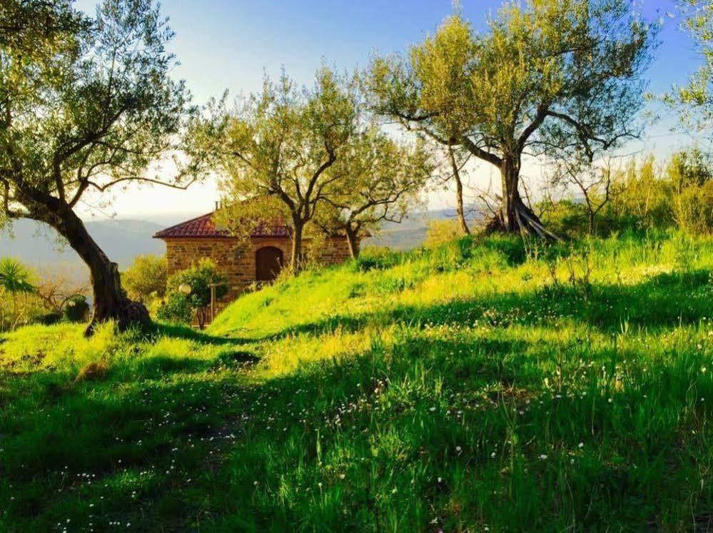Country house Nigro *