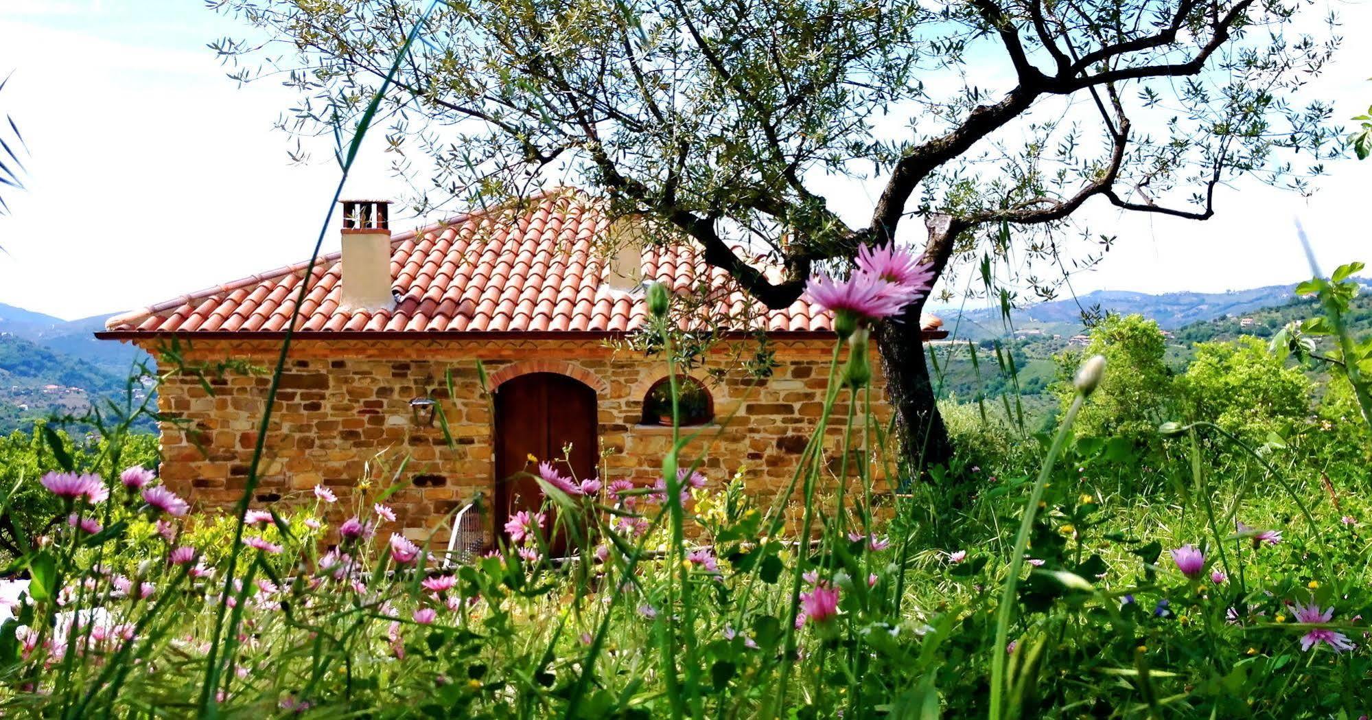Nigro Country house *